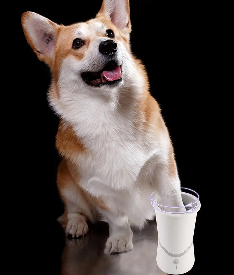 Automatic Dog Paw Cleaning Device