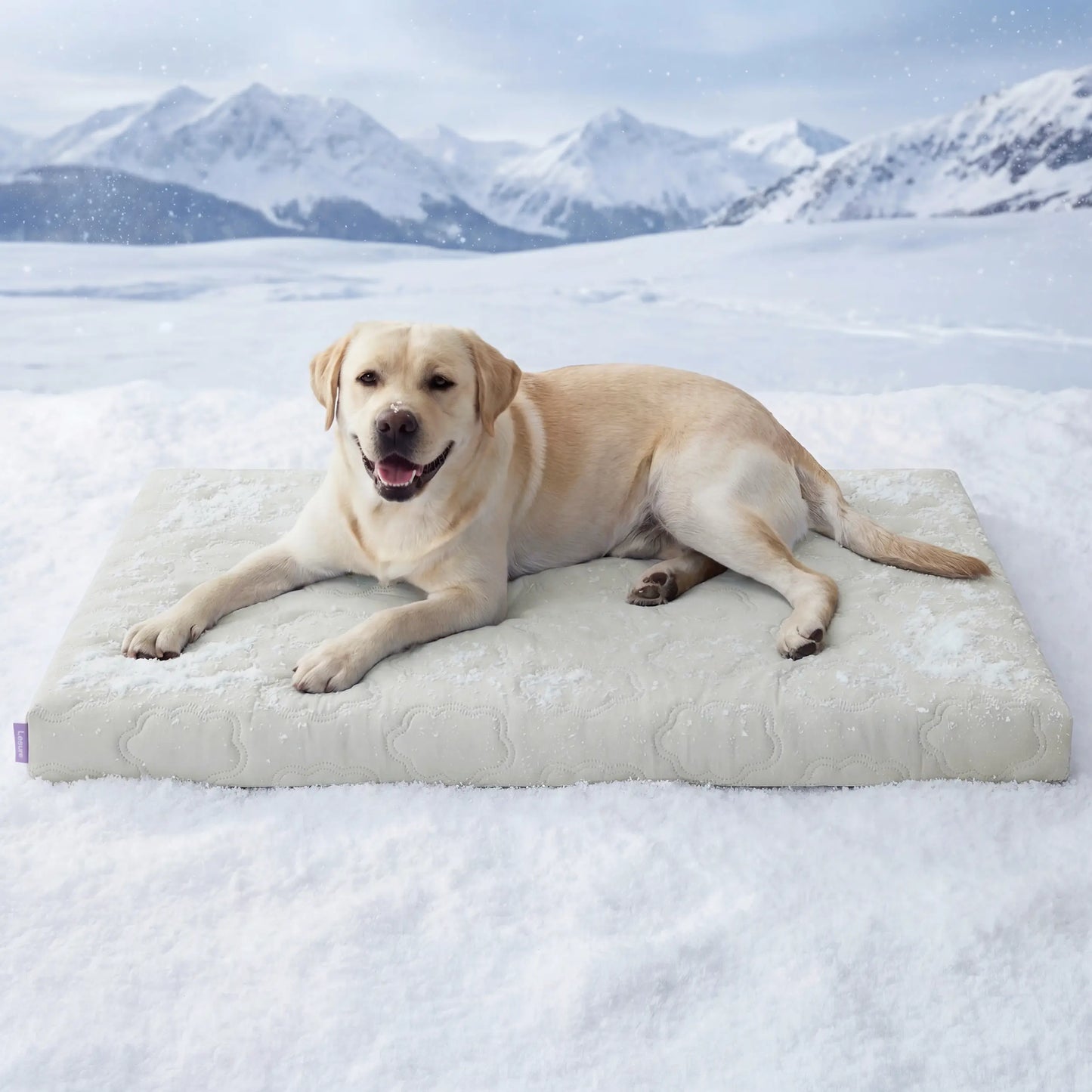 Bedsure Washable Cooling Mat for Dogs - Q-MAX>0.4 Non-Slip Summer Bed for Large Pets, No Gel or Electricity Required