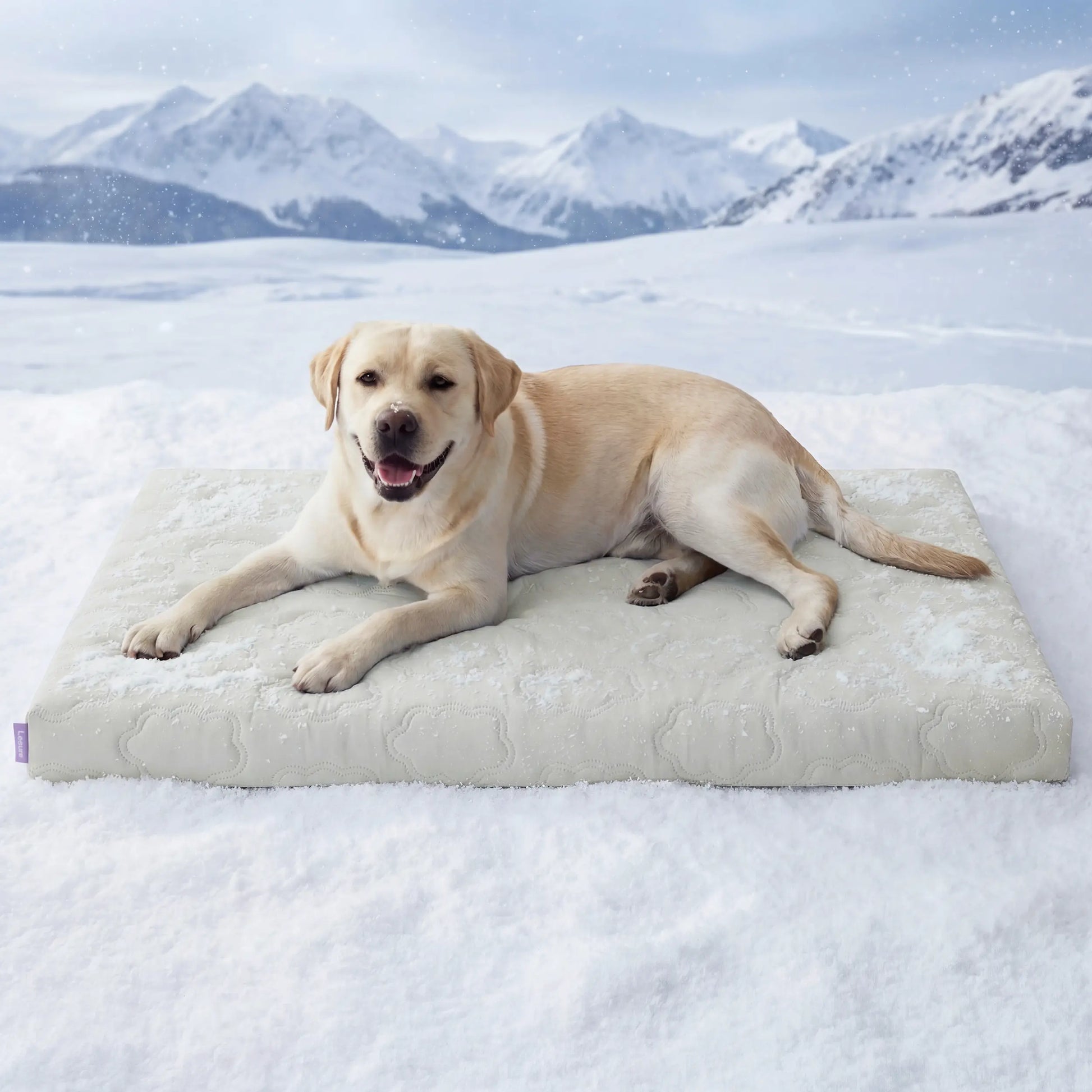 Bedsure Washable Cooling Mat for Dogs - Q-MAX>0.4 Non-Slip Summer Bed for Large Pets, No Gel or Electricity Required
