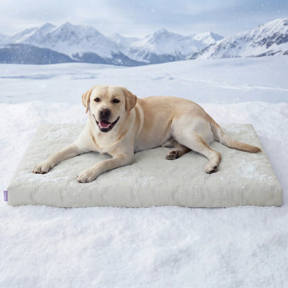 Bedsure Washable Cooling Mat for Dogs - Q-MAX>0.4 Non-Slip Summer Bed for Large Pets, No Gel or Electricity Required
