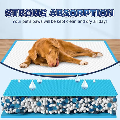 Extra Large Super Absorbent Leak-Proof Dog Training Pads – 100 Count Quick Dry
