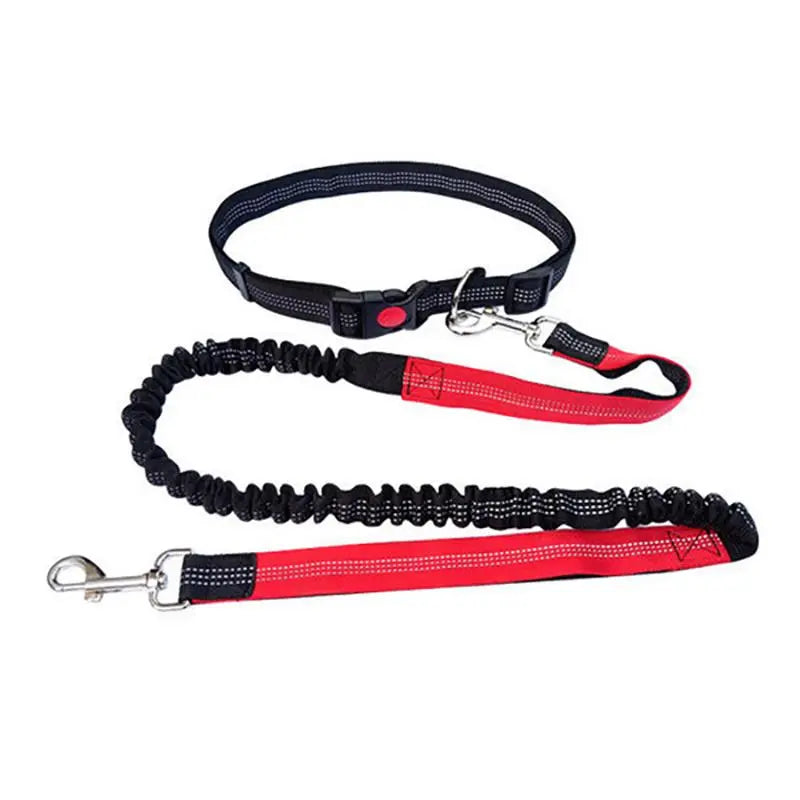 Elastic Nylon Adjustable Dog Leash - Durable Pet Walking Rope for Small, Medium, and Large Dogs - Ideal for Training and Outdoor Use