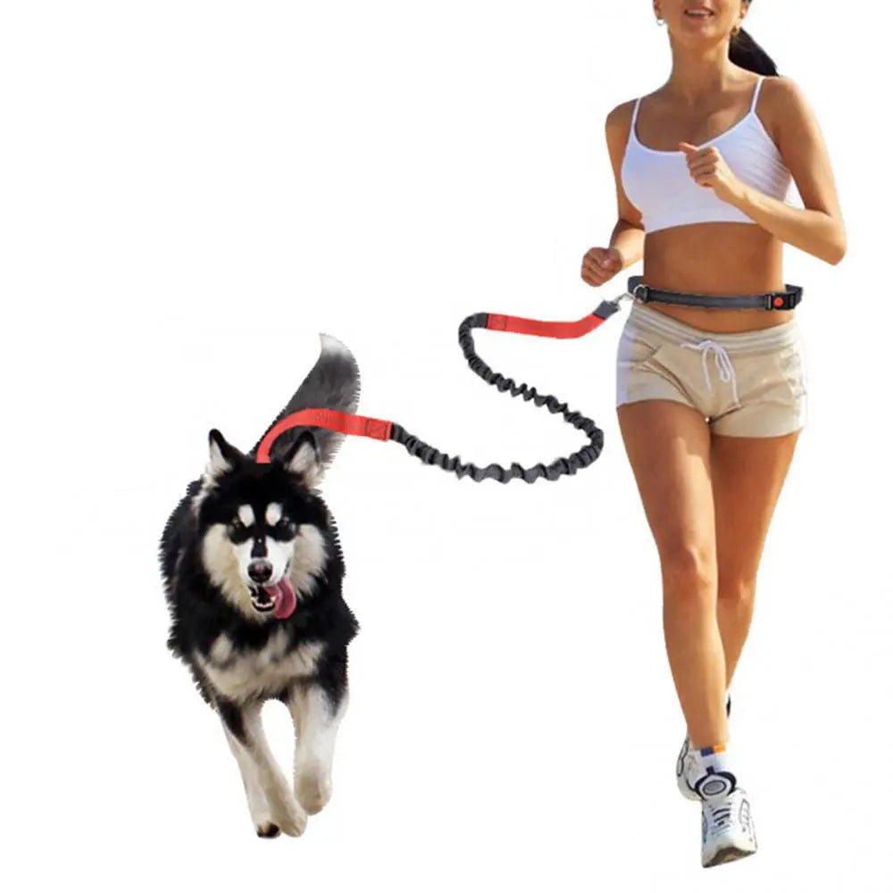 Elastic Nylon Adjustable Dog Leash - Durable Pet Walking Rope for Small, Medium, and Large Dogs - Ideal for Training and Outdoor Use