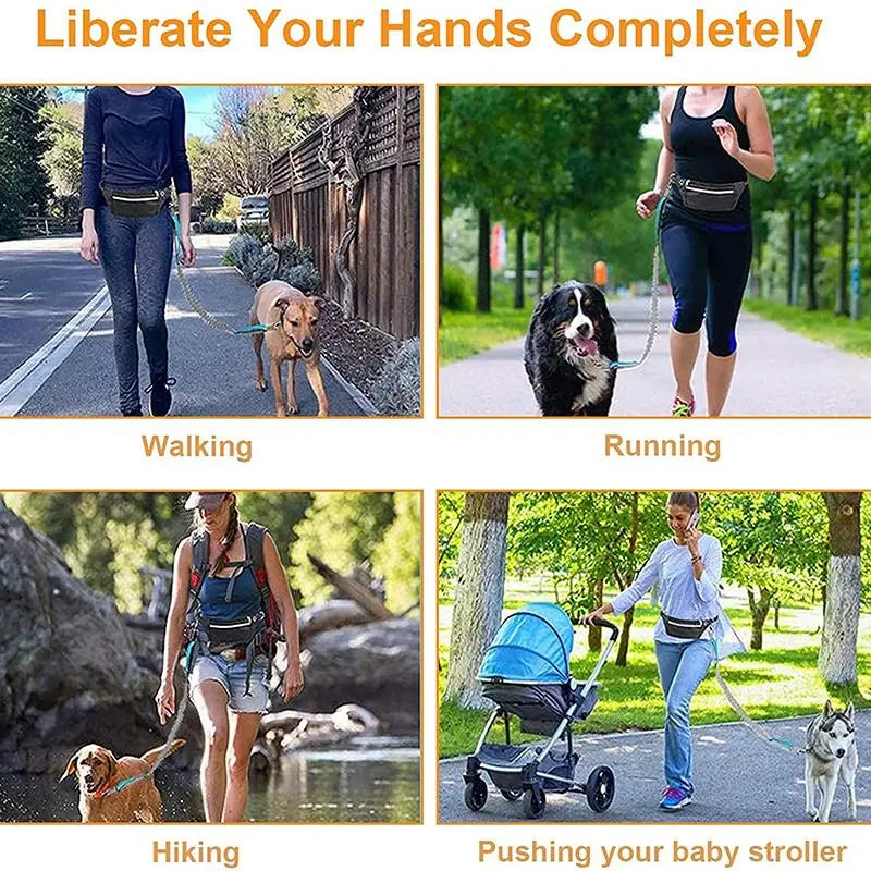 Elastic Nylon Adjustable Dog Leash - Durable Pet Walking Rope for Small, Medium, and Large Dogs - Ideal for Training and Outdoor Use