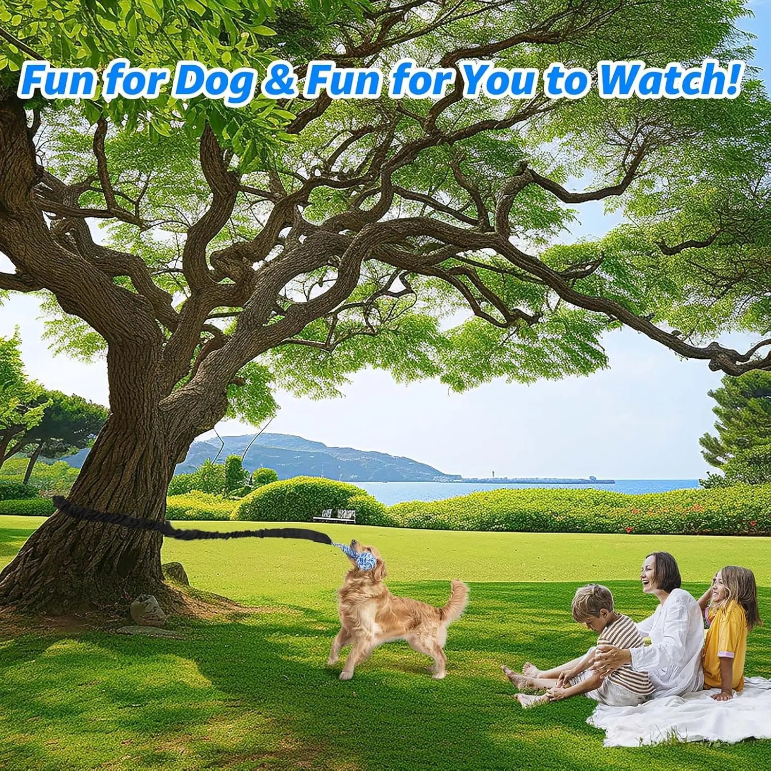 Spring Pole Tug of War Rope Toys for Medium to Large Dogs - Interactive Bungee Exercise Ropes for Indoor and Outdoor Use (Door Style)