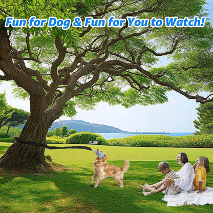 Spring Pole Tug of War Rope Toys for Medium to Large Dogs - Interactive Bungee Exercise Ropes for Indoor and Outdoor Use (Door Style)