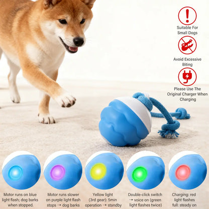 Motion-Activated Squeaky Rolling Dog Balls - Durable PC+TPR Material, Sound Control, Intelligent Play for Small Dogs (2.95X2.95X4.33 In), Two-Pack, Summer Vibes