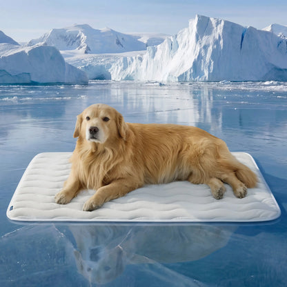 Bedsure Washable Cooling Mat for Dogs - Q-MAX>0.4 Non-Slip Summer Bed for Large Pets, No Gel or Electricity Required