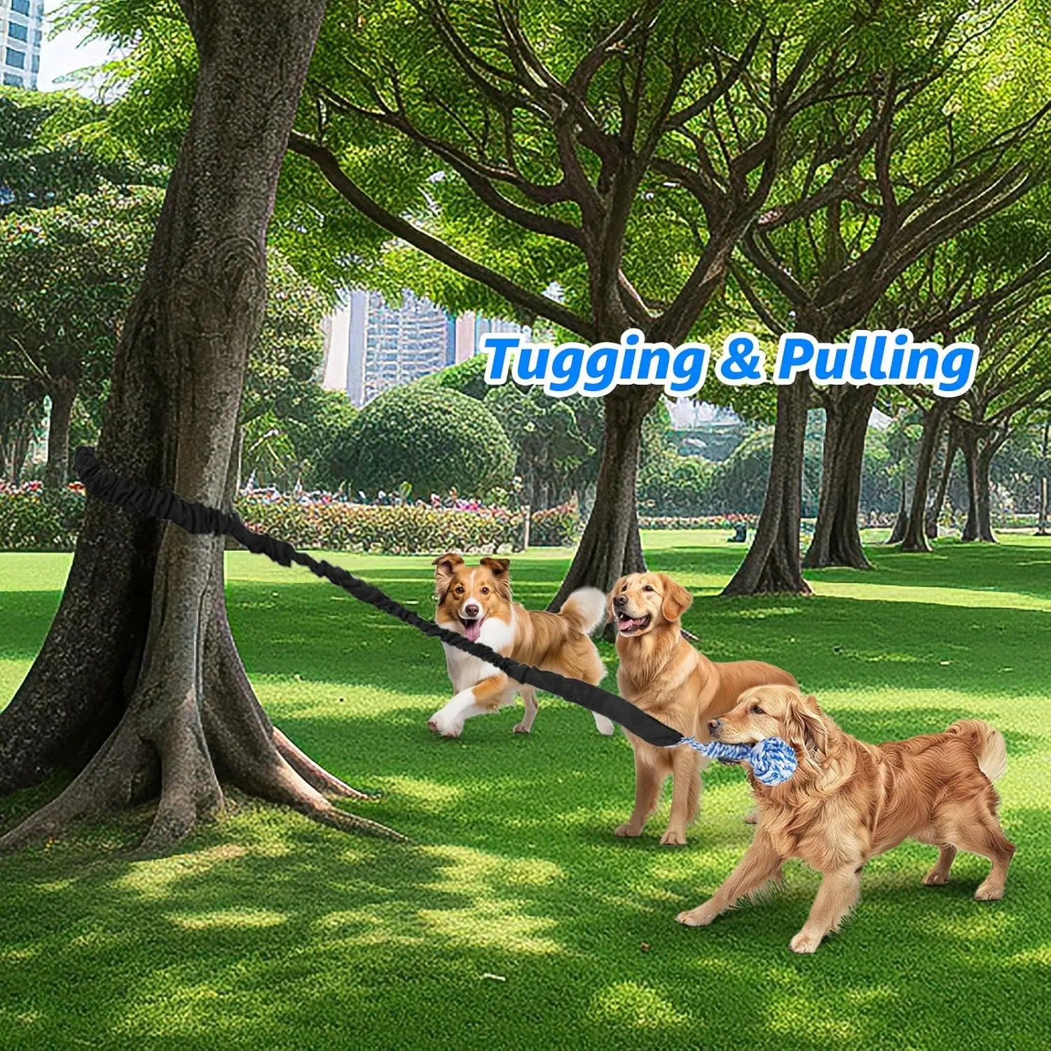 Spring Pole Tug of War Rope Toys for Medium to Large Dogs - Interactive Bungee Exercise Ropes for Indoor and Outdoor Use (Door Style)