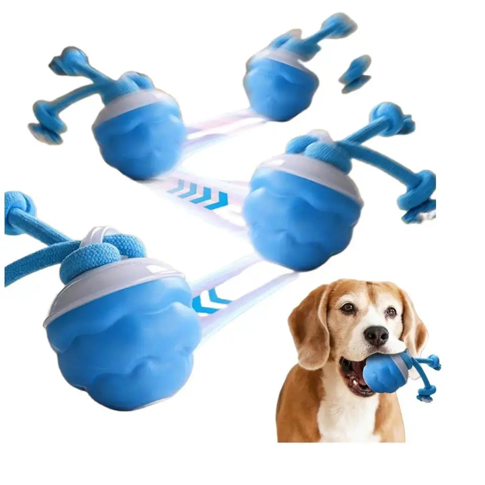 Motion-Activated Squeaky Rolling Dog Balls - Durable PC+TPR Material, Sound Control, Intelligent Play for Small Dogs (2.95X2.95X4.33 In), Two-Pack, Summer Vibes