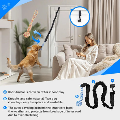 Spring Pole Tug of War Rope Toys for Medium to Large Dogs - Interactive Bungee Exercise Ropes for Indoor and Outdoor Use (Door Style)
